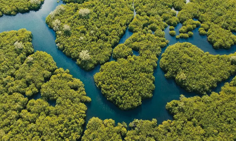 APICORP Green Bond wins ESG Bond Deal of the Year