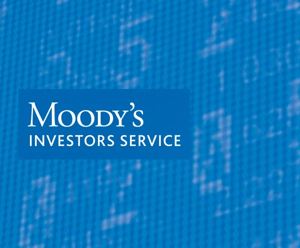 Arab Petroleum Investments Corporation