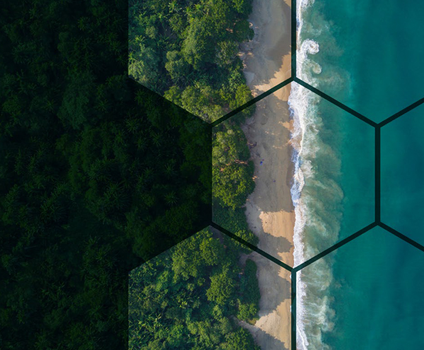 Environmental, Social & Governance Policy Framework