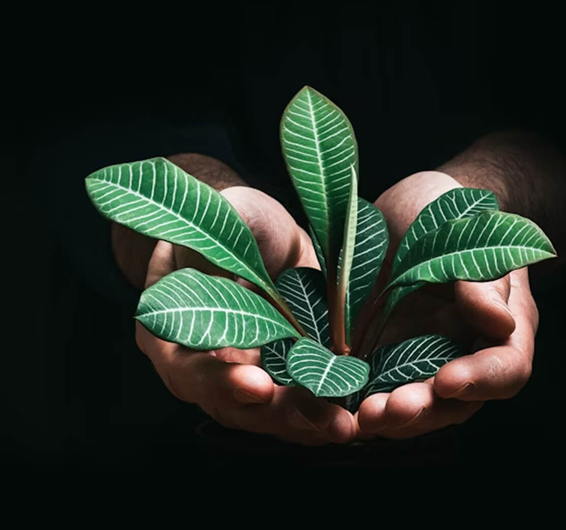 Financial Resilience and Governance