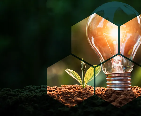 Green Bond Report 2022