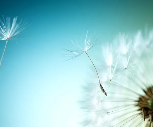 Green Finance Framework thumb