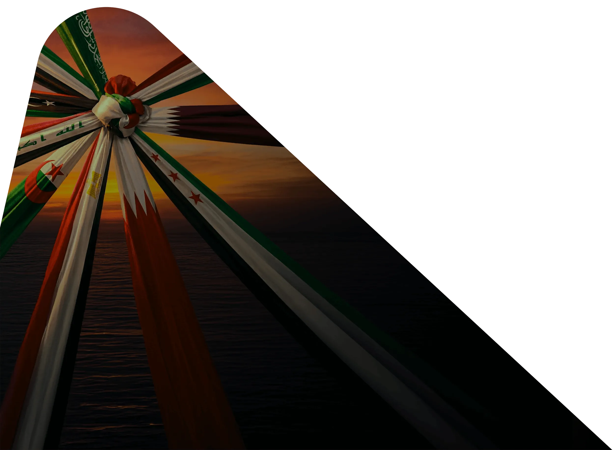 Highlights from Investor Relations