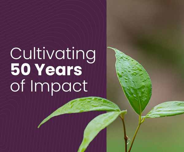 Sustainability Report thumb