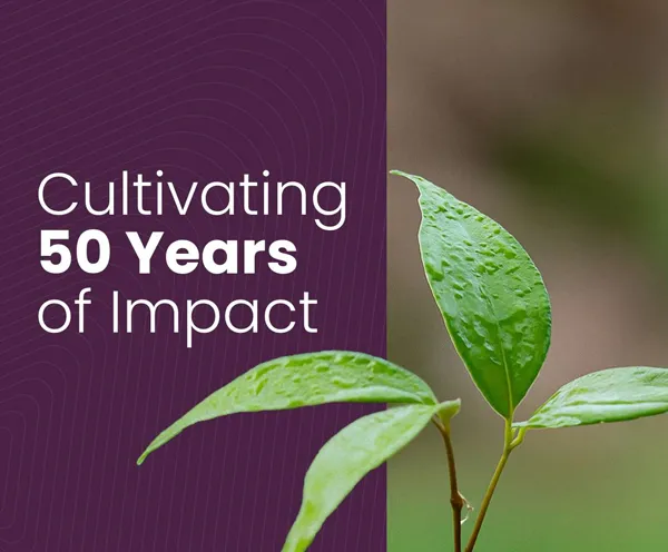 Sustainability Report thumb