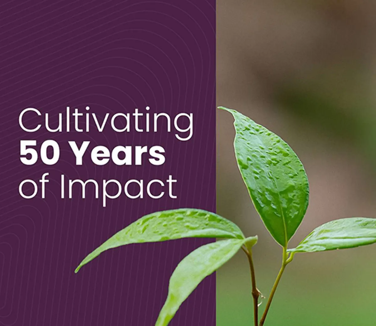 Sustainability Report