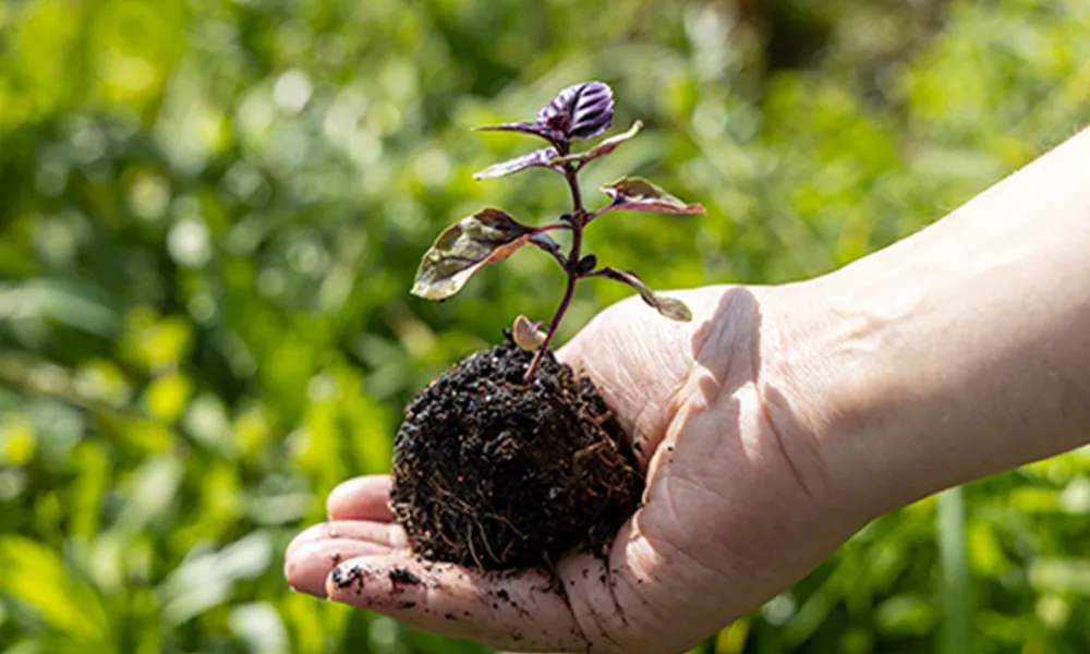 APICORP to support nogaholding across ESG, sustainability and green financial solutions